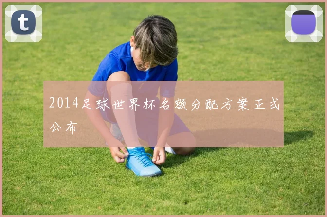 2014足球世界杯名额分配方案正式公布