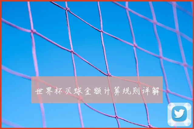 世界杯买球金额计算规则详解