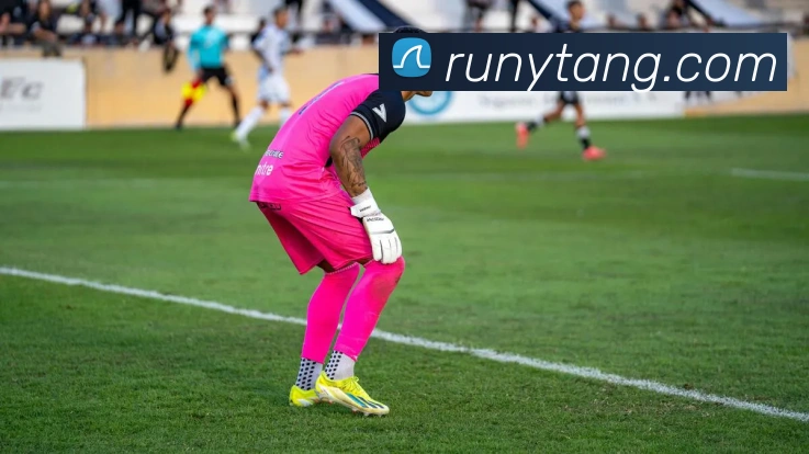 世界杯官网登录appAPP 封面图